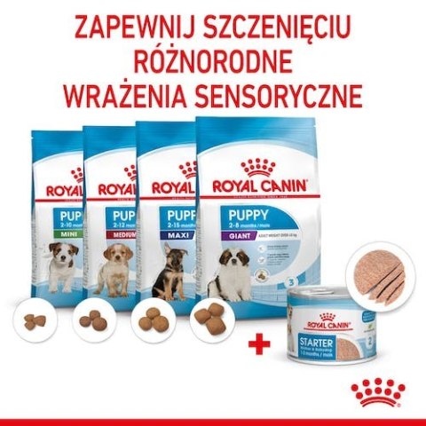 Royal Canin Size Royal Canin Starter Mother&Babydog karma mokra - mus, dla suk w czasie ciąży, laktacji oraz szczeniąt puszka 19