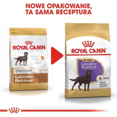 Royal Canin Breed Royal Canin Labrador Retriever Sterilised Adult karma sucha dla psów dorosłych labrador retriever, sterylizowa