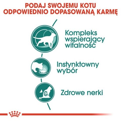 Royal Canin Feline Royal Canin Instinctive +7 w sosie karma mokra dla kotów starszych, wybrednych saszetka 85g