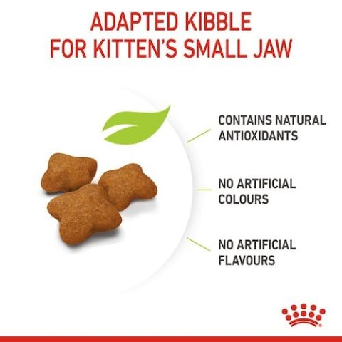 Royal Canin Feline Royal Canin Kitten Sterilised karma sucha dla kociąt od 4 do 12 miesiąca życia, sterylizowanych 400g