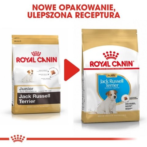 Royal Canin Breed Royal Canin Jack Russell Terrier Puppy karma sucha dla szczeniąt do 10 miesiąca, rasy jack russell terrier 500