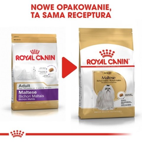 Royal Canin Breed Royal Canin Maltese Adult karma sucha dla psów dorosłych rasy maltańczyk 1,5kg