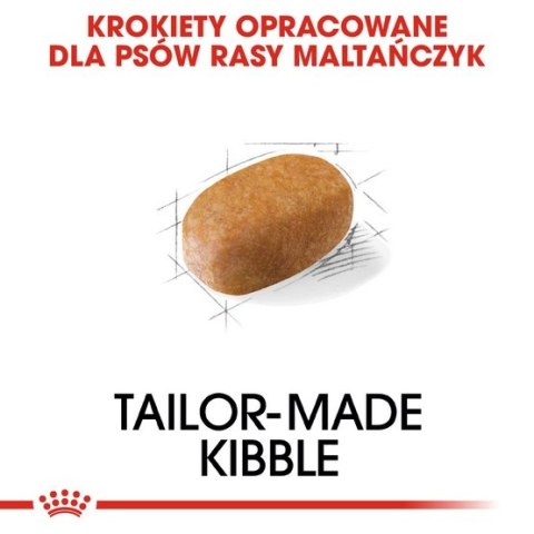 Royal Canin Breed Royal Canin Maltese Adult karma sucha dla psów dorosłych rasy maltańczyk 500g Royal Canin Breed Royal Canin Maltese Adult karma sucha dla psów dorosłych rasy maltańczyk 500g