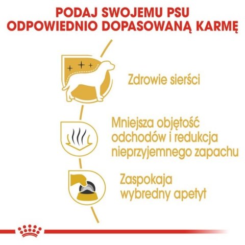 Royal Canin Breed Royal Canin Maltese Adult karma sucha dla psów dorosłych rasy maltańczyk 500g Royal Canin Breed Royal Canin Maltese Adult karma sucha dla psów dorosłych rasy maltańczyk 500g