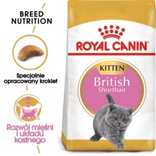 Royal Canin Feline Royal Canin British Shorthair Kitten karma sucha dla kociąt, do 12 miesiąca, rasy brytyjski krótkowłosy 2kg