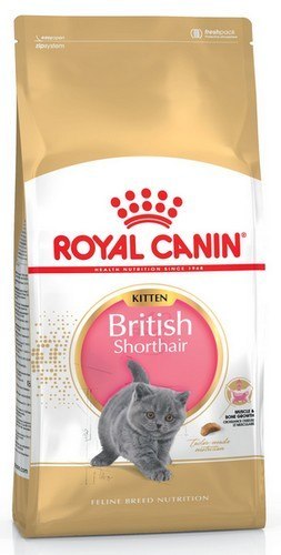 Royal Canin Feline Royal Canin British Shorthair Kitten karma sucha dla kociąt, do 12 miesiąca, rasy brytyjski krótkowłosy 2kg