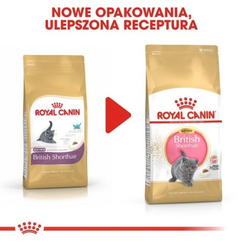 Royal Canin Feline Royal Canin British Shorthair Kitten karma sucha dla kociąt, do 12 miesiąca, rasy brytyjski krótkowłosy 2kg