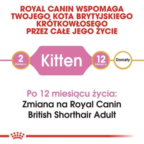 Royal Canin Feline Royal Canin British Shorthair Kitten karma sucha dla kociąt, do 12 miesiąca, rasy brytyjski krótkowłosy 2kg