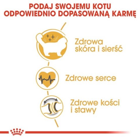 Royal Canin Feline Royal Canin Ragdoll Adult karma sucha dla kotów dorosłych rasy ragdoll 400g Royal Canin Feline Royal Canin Ragdoll Adult karma sucha dla kotów dorosłych rasy ragdoll 400g