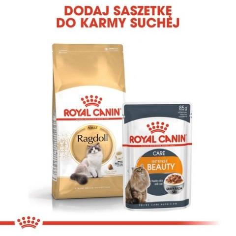Royal Canin Feline Royal Canin Ragdoll Adult karma sucha dla kotów dorosłych rasy ragdoll 400g Royal Canin Feline Royal Canin Ragdoll Adult karma sucha dla kotów dorosłych rasy ragdoll 400g