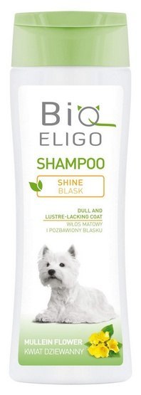 DermaPharm DermaPharm BioEligo Blask szampon dla sierści matowej 250ml