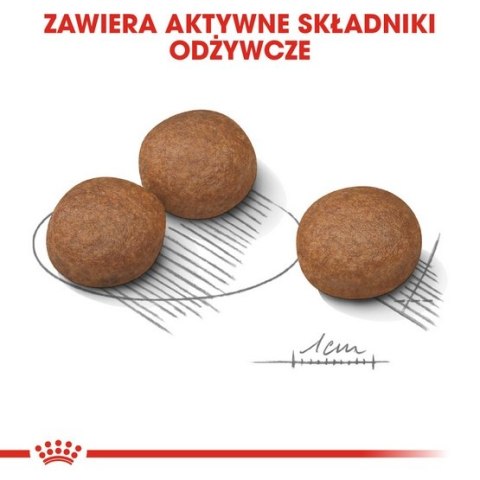 Royal Canin Size Royal Canin Medium Digestive Care karma sucha dla psów dorosłych, ras średnich o wrażliwym przewodzie pokarmowy