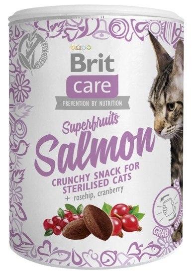 Brit Brit Care Cat Snack Superfruits Salmon 100g