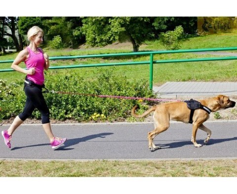 Dingo Dingo Pas do biegania Profi - 4 możliwości zapinania
